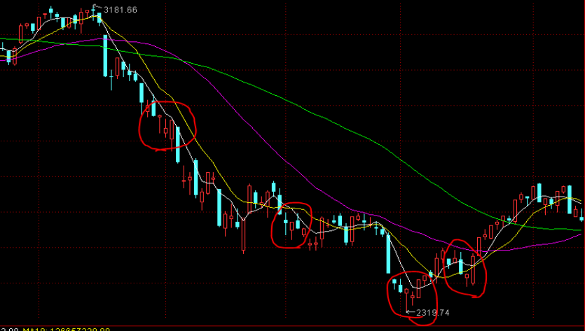 白羽鸡苗价格在一个月内上涨180%:是趋势逆转还是短暂现象?
